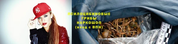 винт Покровск