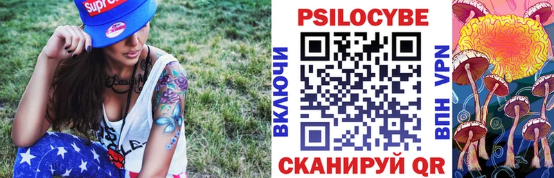 мега зеркало Ардон Псилоцибиновые грибы Psilocybine cubensis